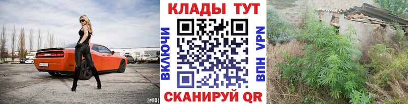  КОКАИН Ельня