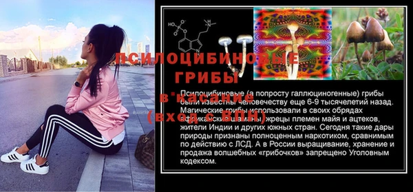 мяу мяу мука Медногорск