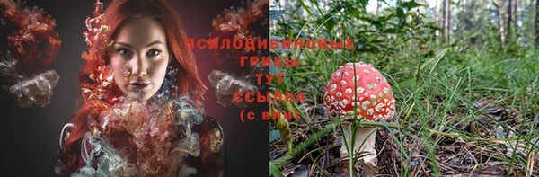 каннабис Медвежьегорск