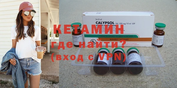 индика Гусь-Хрустальный