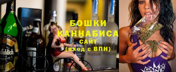 гашик Мегион