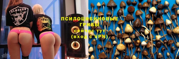 гашик Мегион